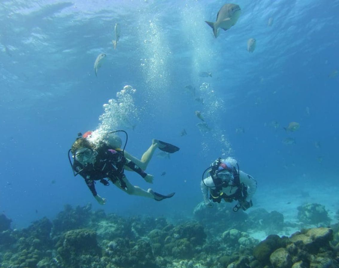 bucear en san andrés precio