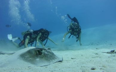 buceo en san andres con expertos