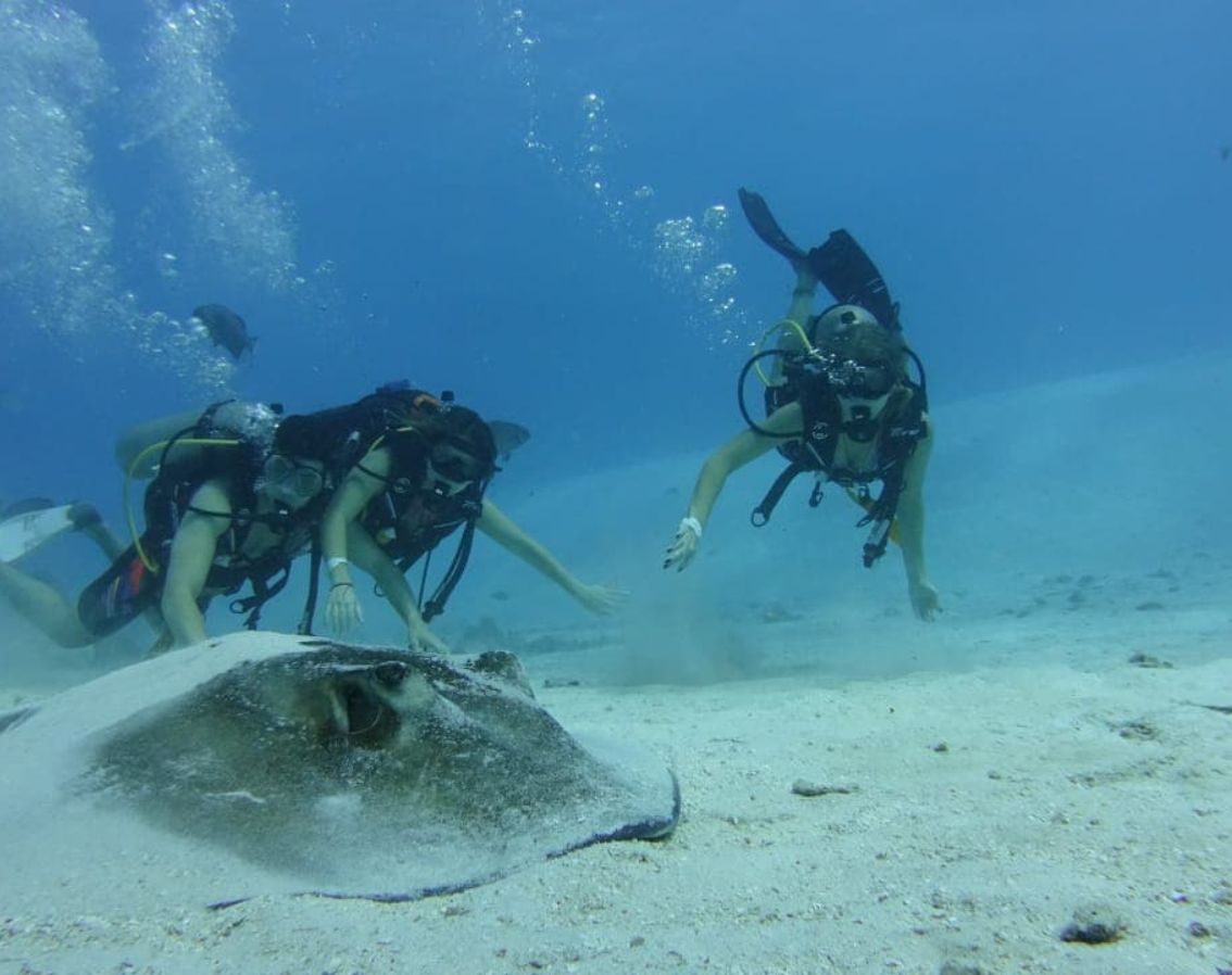 escuelas de buceo en san andres